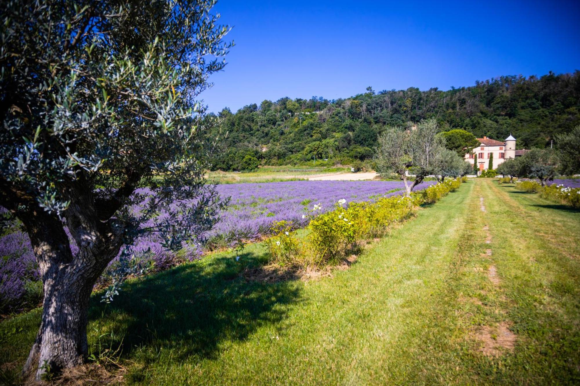 فيلا Domaine Des Balmes Romans-sur-Isère المظهر الخارجي الصورة
